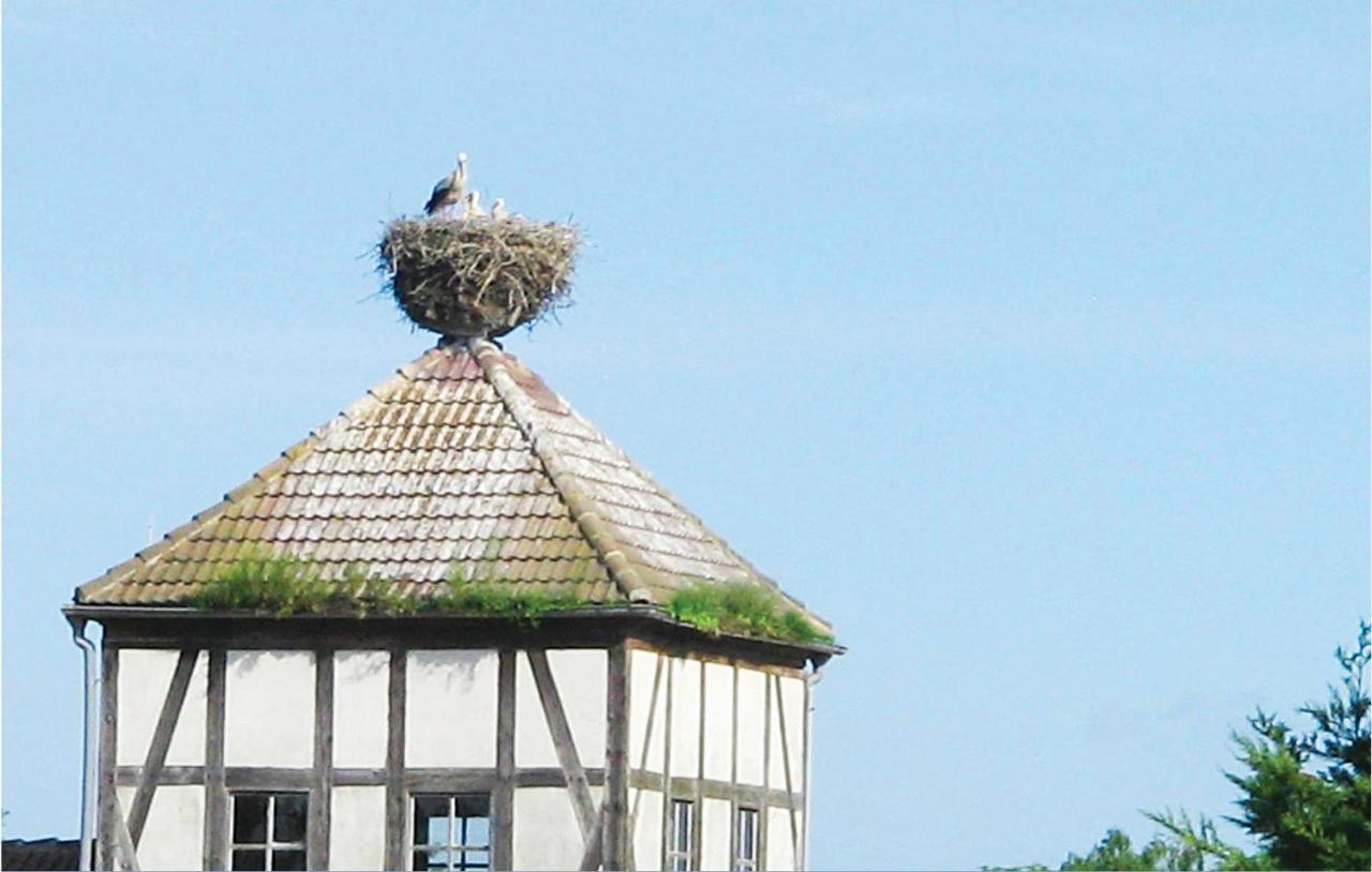Herrenhaus Luebbenow エクステリア 写真